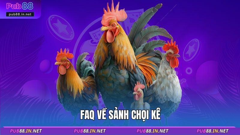 FAQ về sảnh chọi kê