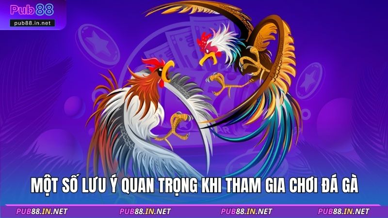 Một số lưu ý quan trọng khi tham gia chơi đá gà